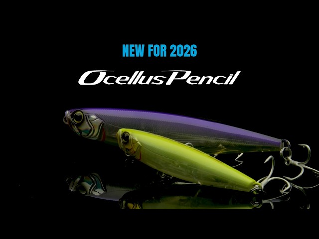 Vídeo relacionado con Ima Scarecrow 100S Saltwater Jointed Pencil Sinking Lure 007 (2062)