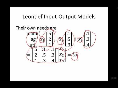Leontief Input Output Model