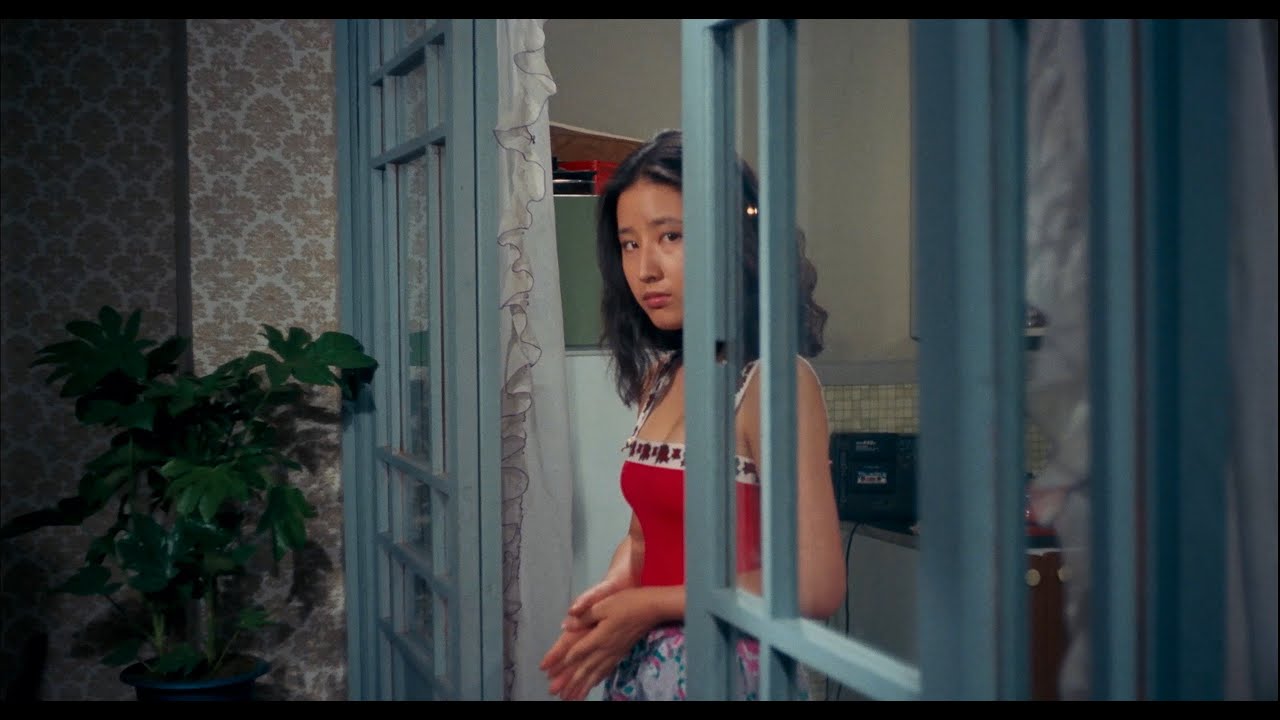 Terror Vision Blu-Ray Trailer [Subtitled]