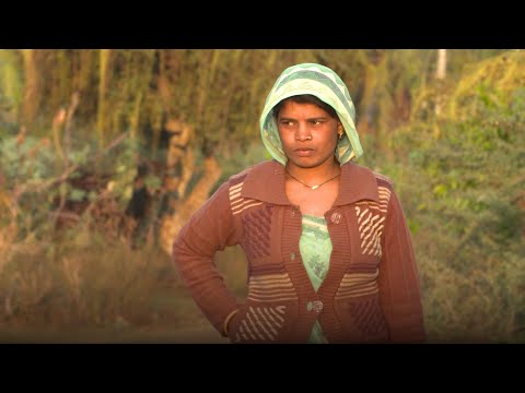 Keeping milk safe in India