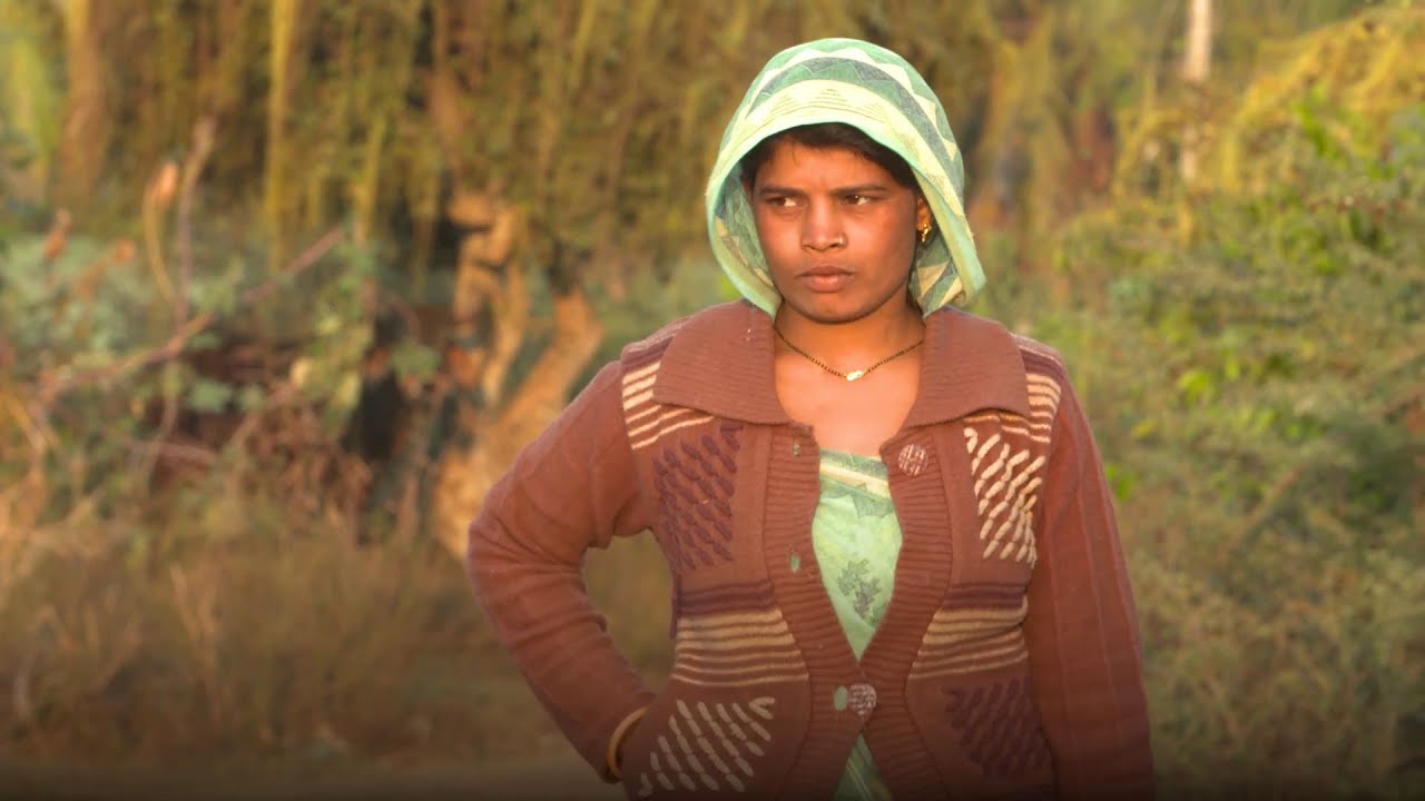Keeping milk safe in India