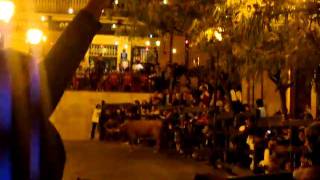 vakas ejea plaza.MPG