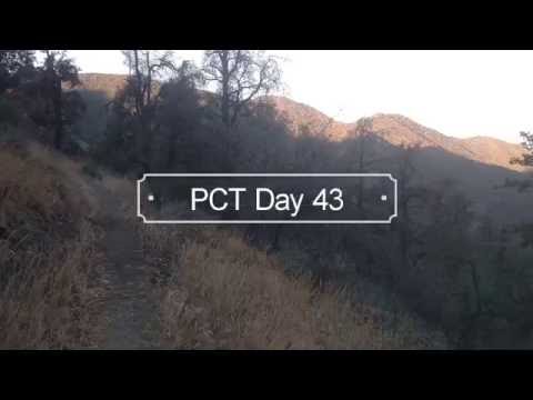PCT Day 43: Chimney Creek Wilderness
