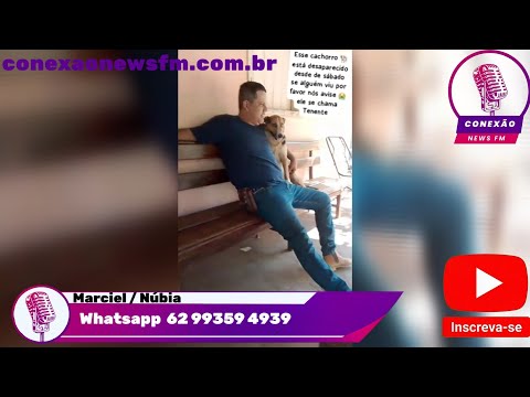 Cachorro Está desaparecido desde Sábado Família está Desesperada