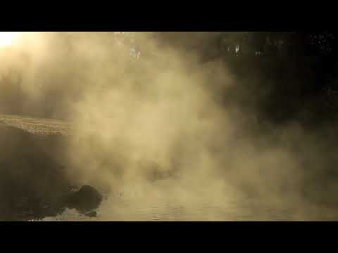 Tracey Thorn - Hands Up to the Ceiling [Video]