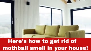How to Get Rid of Mothball Smell in your House [Detailed Guide]