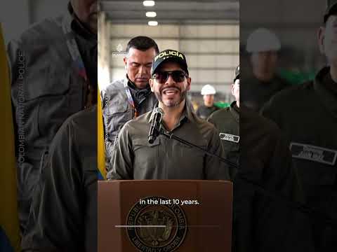 Colombia seizes 7.6 tonnes of cocaine in biggest haul in a decade