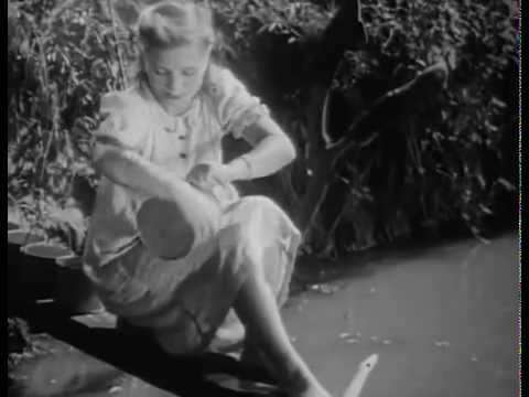 Антоша Рыбкин