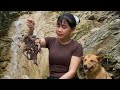 free meal from nature... catching your own rock crabs in the deep forest.