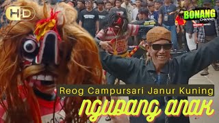 Download lagu Reog Campursari Janur Kuning  || nGudang Anak Versi Sragenan mp3