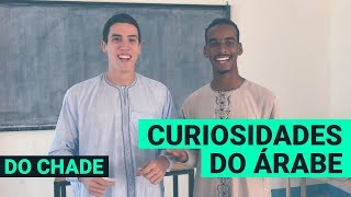CURIOSIDADES DO ÁRABE // ARABIC CURIOSITIES