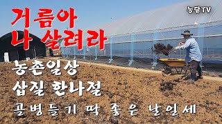 삽질 한나절/거름아 나 살려라/골병들기 딱 좋은 날