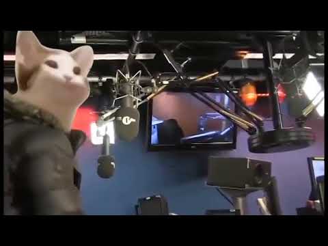 THE TING goes pop pop pop