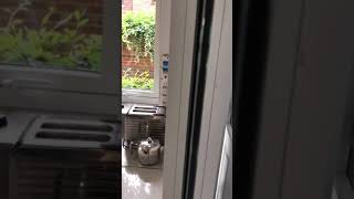 Album cover: Kenley finished.