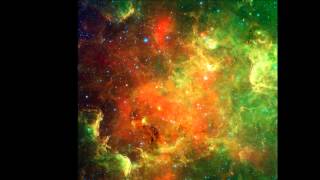 Petrels  -  A Carapace for Carter's Snort