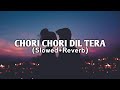 Slowed and Reverb Songs | Chori Chori Dil Tera Churayenge | Wish Lofi