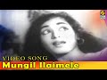 Moongil Ilai Maele Video Song Kaattu Rani Tamil Movie P Susheela Old Movies Film Boxz