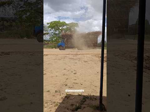 MOVIMENTAÇÃO NA USINA TAQUARA EM COLÔNIA LEOPOLDINA ALAGOAS.