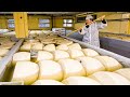 How Italian Parmesan Wheel of Cheese Is Made - King of Cheese 1000$ per Wheel Making in Factory