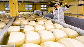How Italian Parmesan Wheel of Cheese Is Made - King of Cheese 1000$ per Wheel Making in Factory