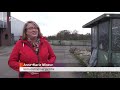 Natuur of woonwijk? De Bilt worstelt met toekomst van Hessing-terrein [RTV Utrecht]
