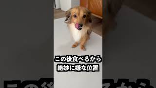 繊細すぎる水丸餅でも馬シールのお尻に落とせば割れないはず！