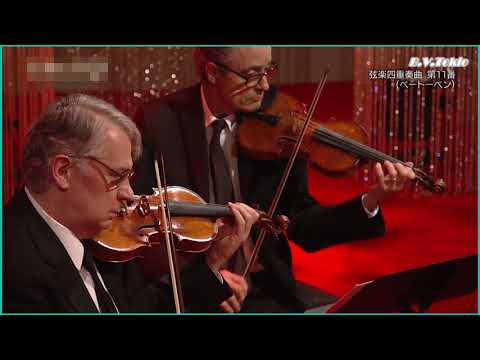 Emerson String Quartet - Quartetto serioso (Beethoven)