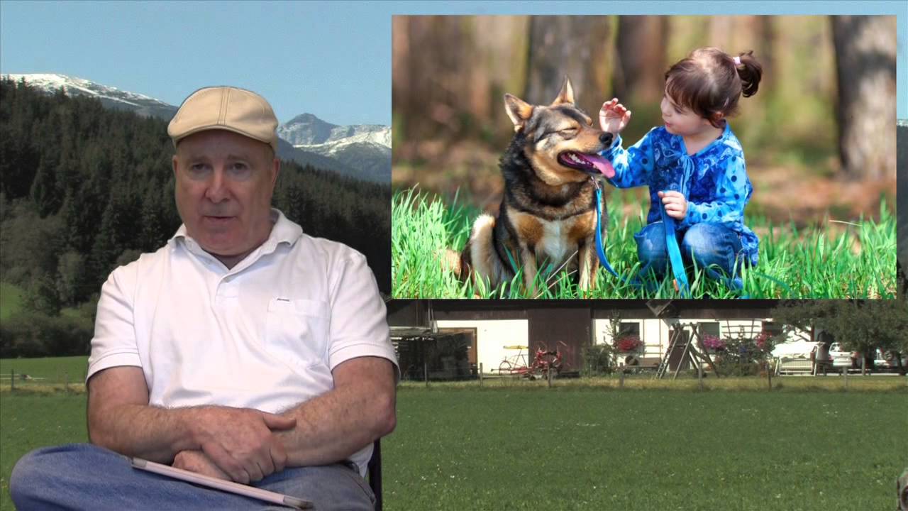 Promotional video thumbnail 2 for Maestro Jerard's Sweet Harmonies