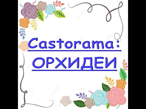 ЗАВОЗ прекрасных ОРХИДЕЙ в Castorama,26.02.21.Касторама,Самара.