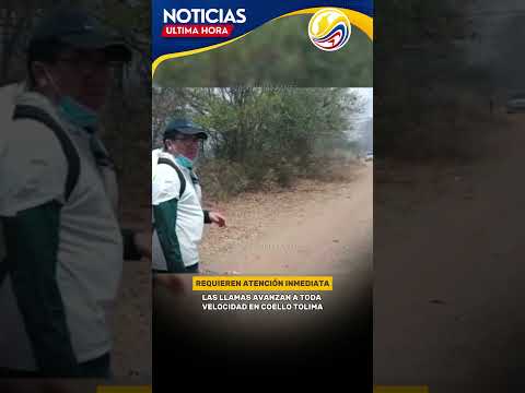 La emergenci4 en Coello, Tolima requiere atención inmediata.