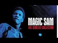 Magic Sam - It's all you're fault