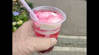 フィリピンダバオ在住の旅好きなシニア!なんと、今回、潰瘍性大腸炎にかかり、病気療養中でありながら旅してます!!