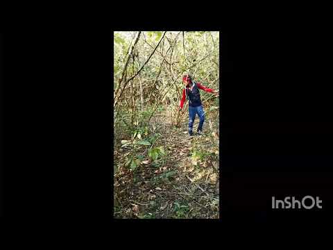 khatarnak jungle _$#viralvideo  jaypal Kashyap 239 YouTube channel