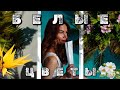ШИКАРНЫЕ БЕЛОЦВЕТОЧНЫЕ АРОМАТЫ МОЙ ТОП 8 КОМПЛЕМЕНТАР�