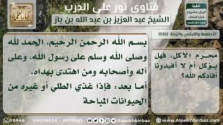 صورة 1880 - حكم أكل الحيوان المباح إذا رضع من لبن حيوان محرم - نور على الدرب