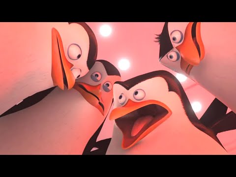 DreamWorks Madagascar | Penguins of Madagascar: Two Styles One Mission | Featurette HD | Kids Movies