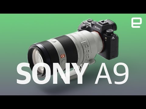 Sony A9 | First Look