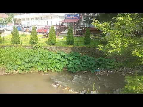 Hotel Codru Moma 🏨 Arad 🌳 Moneasa