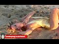 JAKKI DEGG EXCLUSIVE SEXY SHOOT