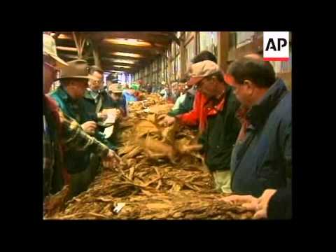 USA: KENTUCKY: PRESIDENT CLINTON MEETS TOBACCO GROWERS