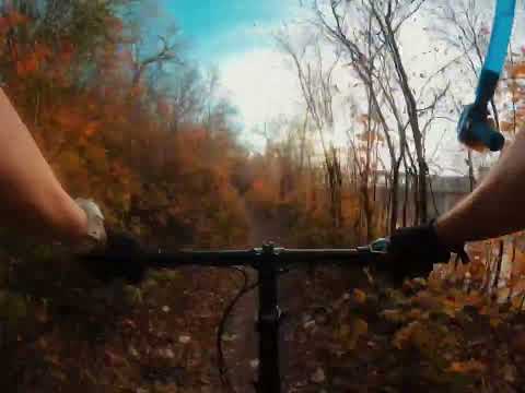 Trail Test on My Dahon Vybe d7               Will it survive?