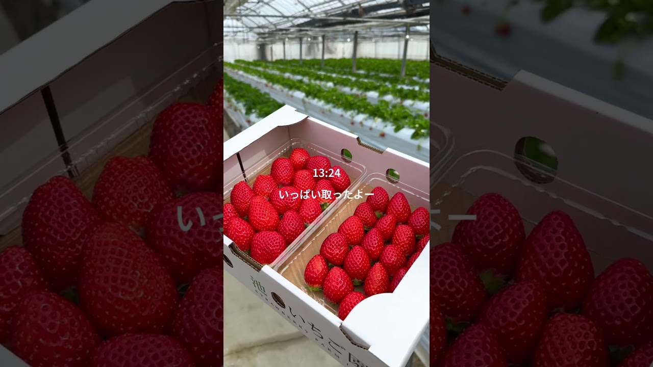 犬とピラティスと筋トレ#ピラティス#福岡ピラティス#福岡ピラティススタジオ#ピラティスインストラクター