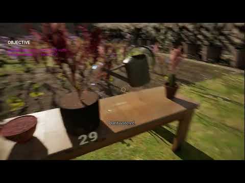 Plant Has Dried