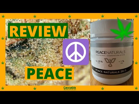 Medizinisches Cannabis Sorten Review Strain Test Peace Naturals 20 1 unterm Mikroskop - Purple Kush?