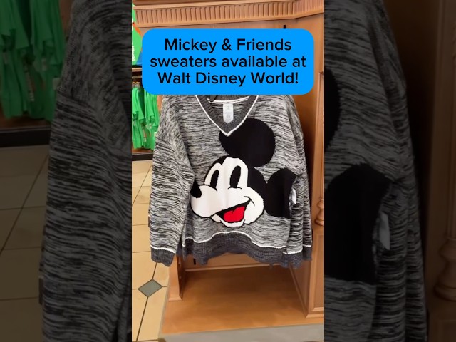 Vídeo relacionado con Disney Mickey & Friends Family Trip 2026 Matching Vacation Sudadera
