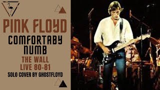 Comfortably Numb - The Wall Live 80-81 - Close Up - Guitar Solo Cover by Ghostfloyd