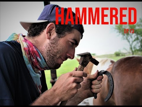 The Flying Horseshoers