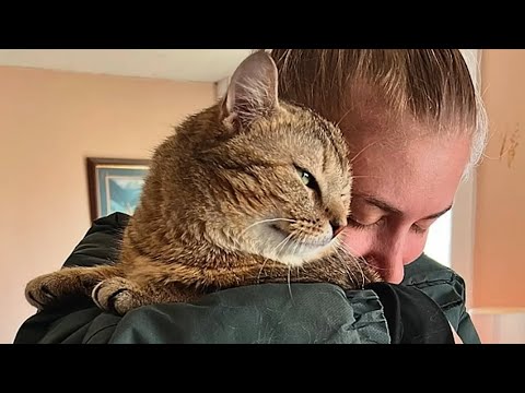 'Feral' cat turns out to be a lovebug