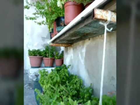 Scala Coeli...  Italien