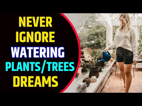 Watering Plants in Dream Meaning |  Watering a Tree Dream Interpretation